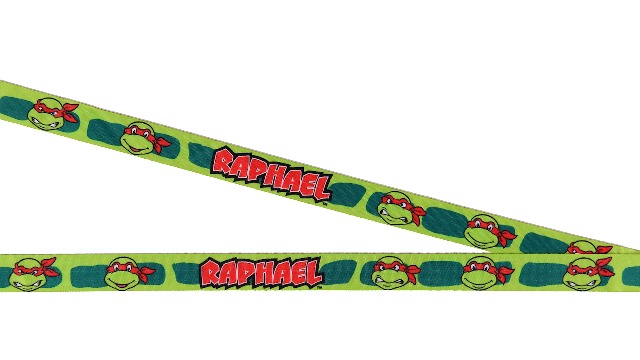 Amazon.com : Teenage Mutant Ninja Turtles Character Design ID